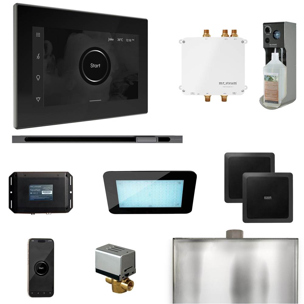 Mr. Steam Bliss Steam Shower Control Package with iSteamX Control and Linear Steamhead