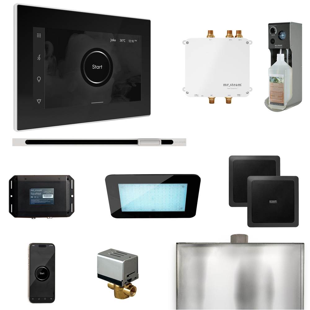 Mr. Steam Bliss Steam Shower Control Package with iSteamX Control and Linear Steamhead
