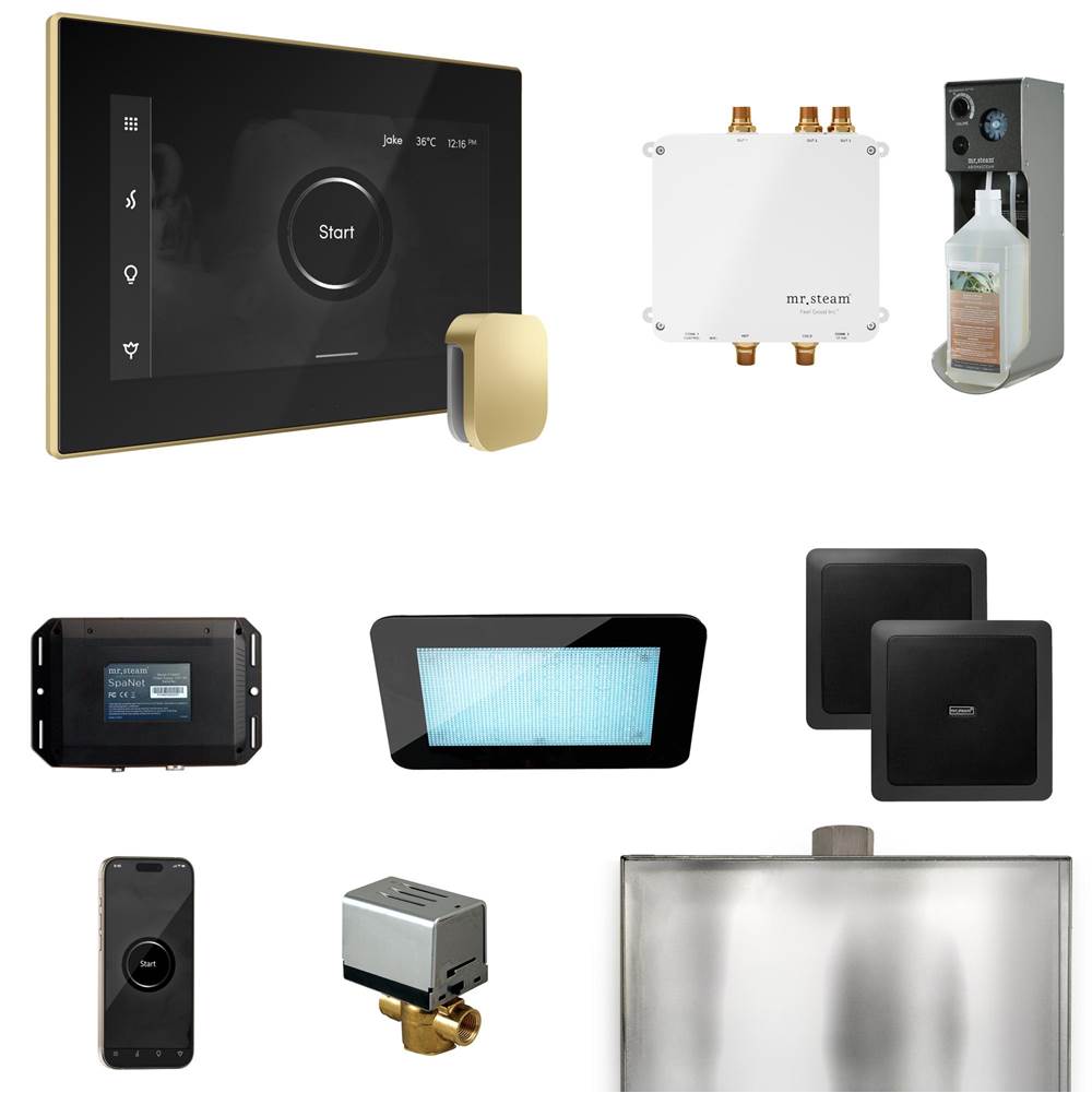 Mr. Steam Bliss Steam Shower Control Package with iSteamX Control and Steamhead