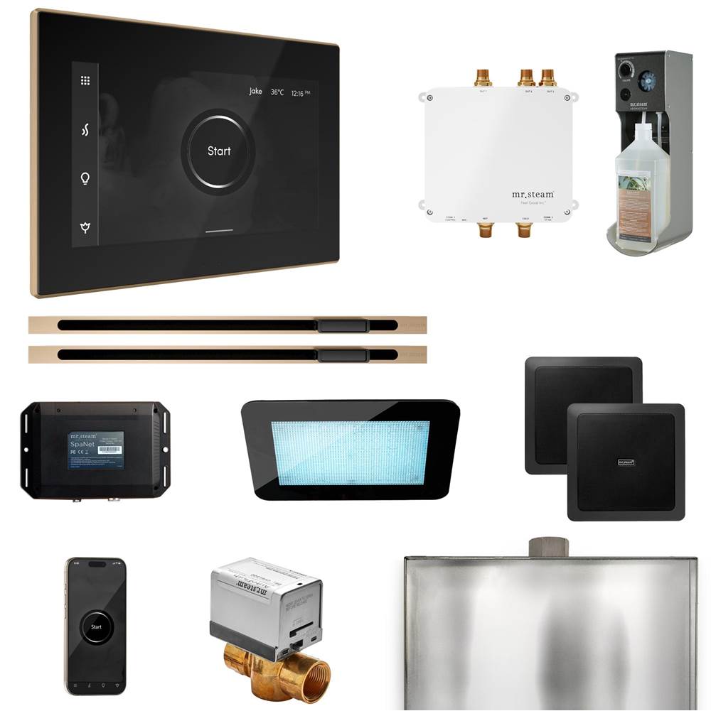 Mr. Steam Bliss Max Steam Shower Control Package with iSteamX Control and Linear Steamhead