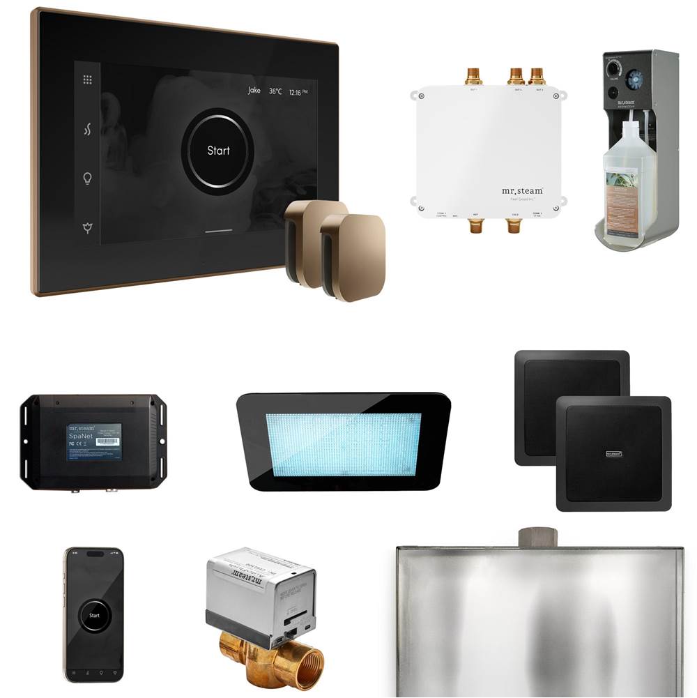 Mr. Steam Bliss Max Steam Shower Control Package with iSteamX Control and Steamhead