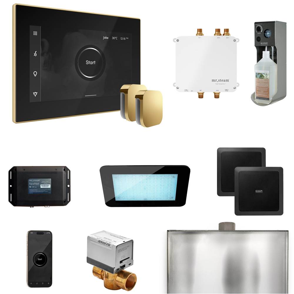 Mr. Steam Bliss Max Steam Shower Control Package with iSteamX Control and Steamhead