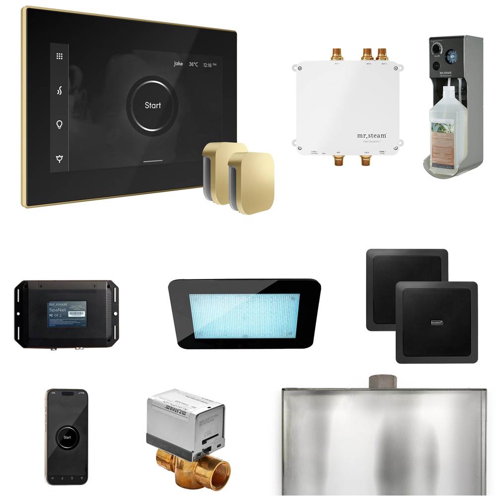 Mr. Steam Bliss Max Steam Shower Control Package with iSteamX Control and Steamhead