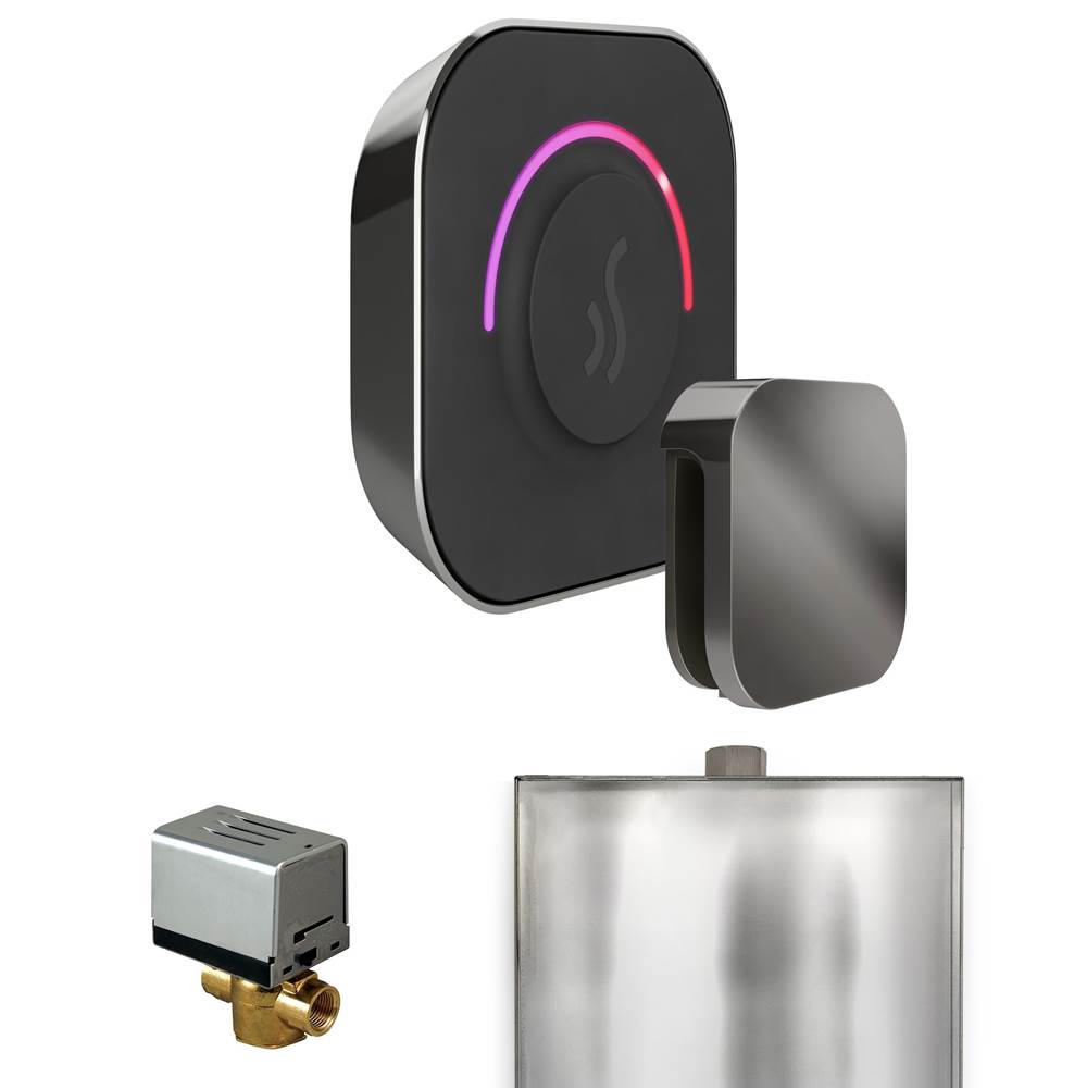 Mr. Steam ButlerTouch Steam Shower Control Package with TempoTouch Control and Steamhead