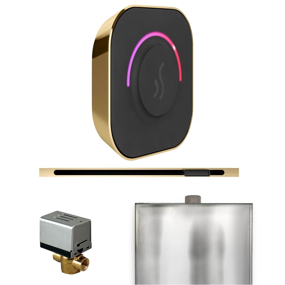 Mr. Steam ButlerTouch Steam Shower Control Package with TempoTouch Control and Linear Steamhead