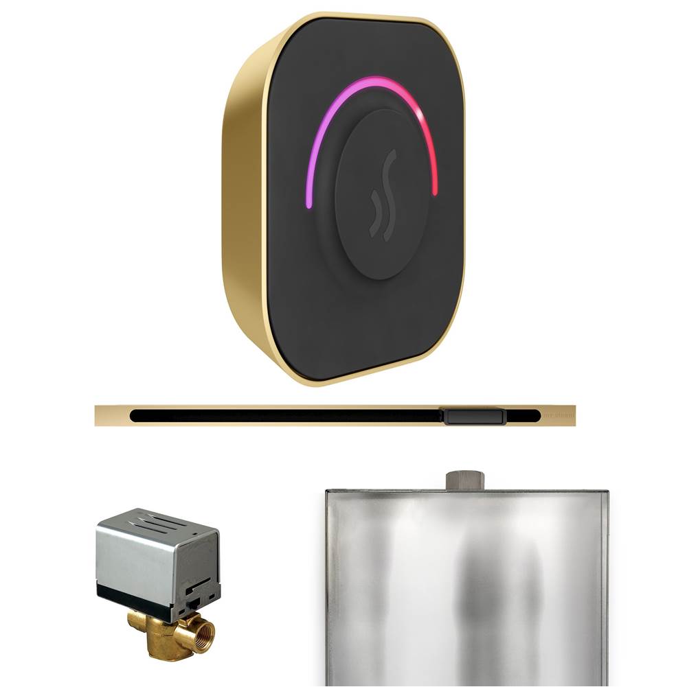 Mr. Steam ButlerTouch Steam Shower Control Package with TempoTouch Control and Linear Steamhead