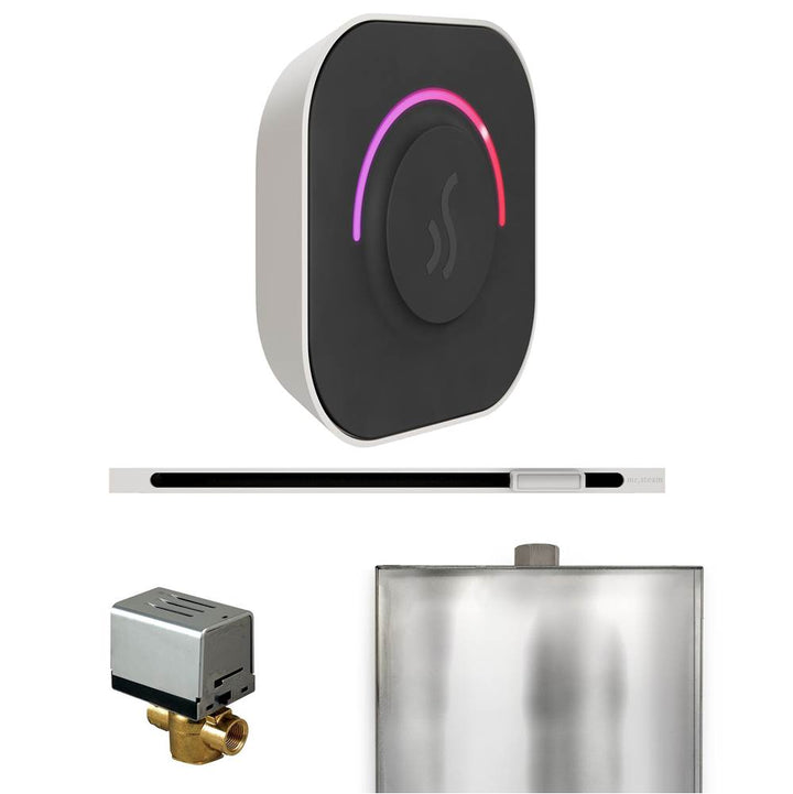 Mr. Steam ButlerTouch Steam Shower Control Package with TempoTouch Control and Linear Steamhead
