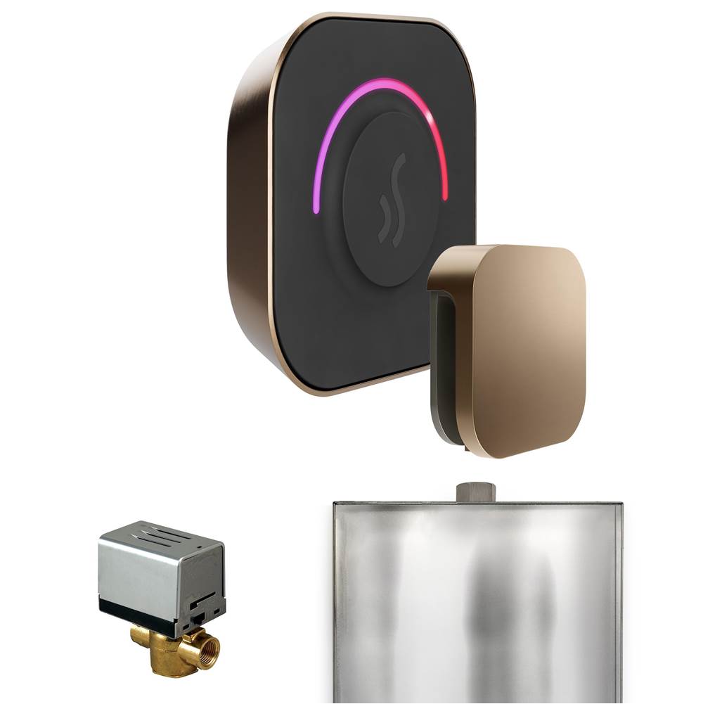 Mr. Steam ButlerTouch Steam Shower Control Package with TempoTouch Control and Steamhead