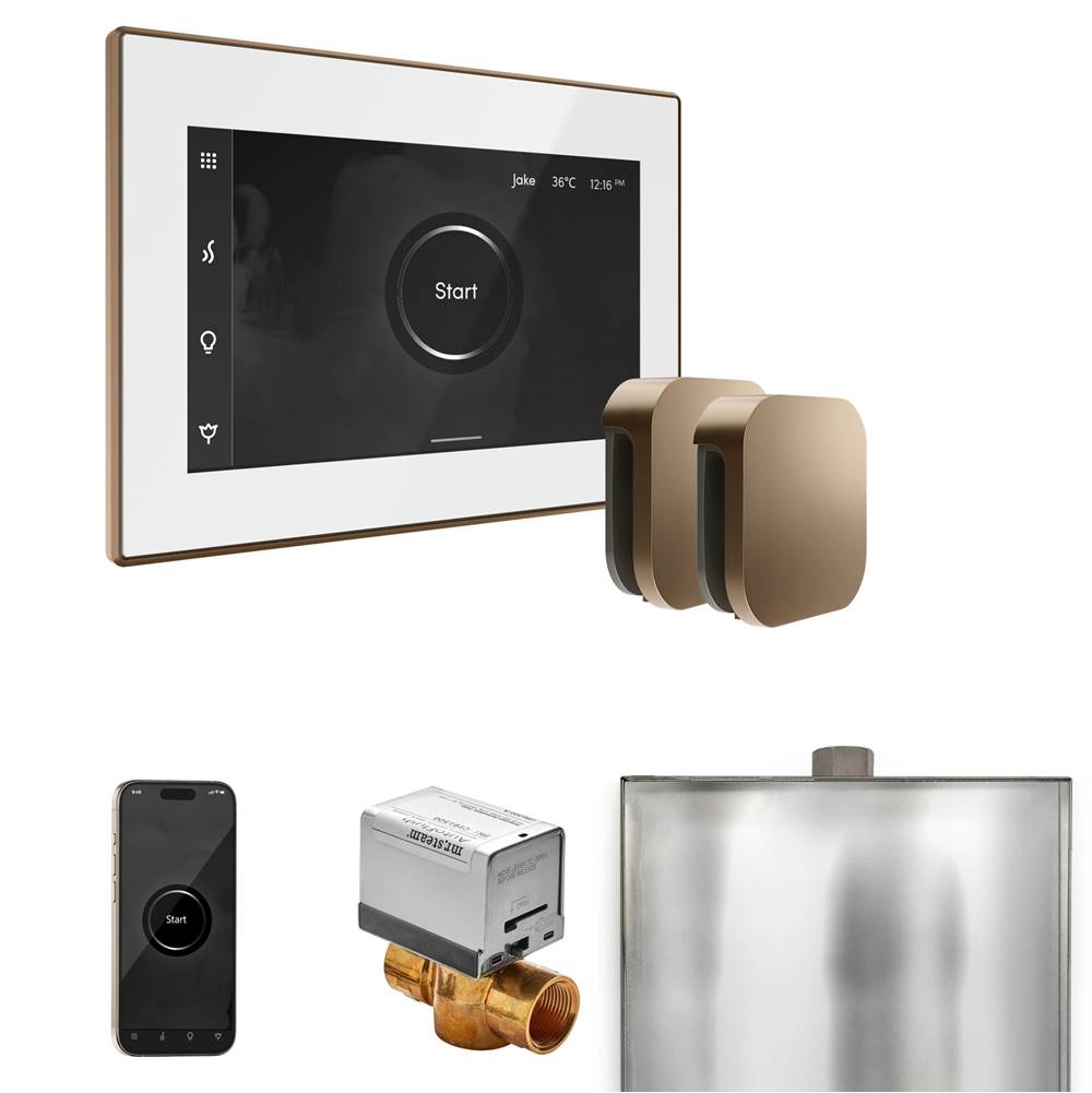 Mr. Steam XButler Max Steam Shower Control Package with iSteamX Control and Steamhead