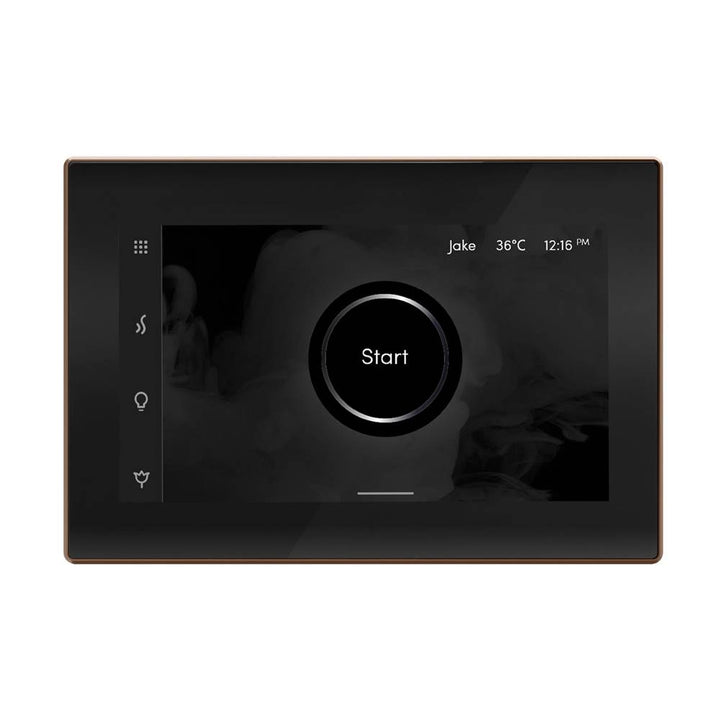 Mr. Steam iSteamX Steam Shower Control and Steamhead