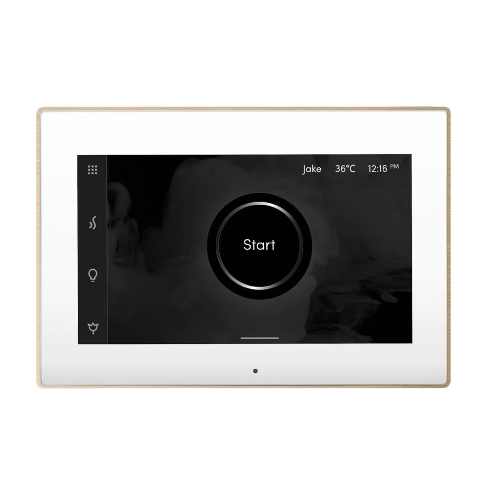 Mr. Steam iSteamX Steam Shower Control and Steamhead