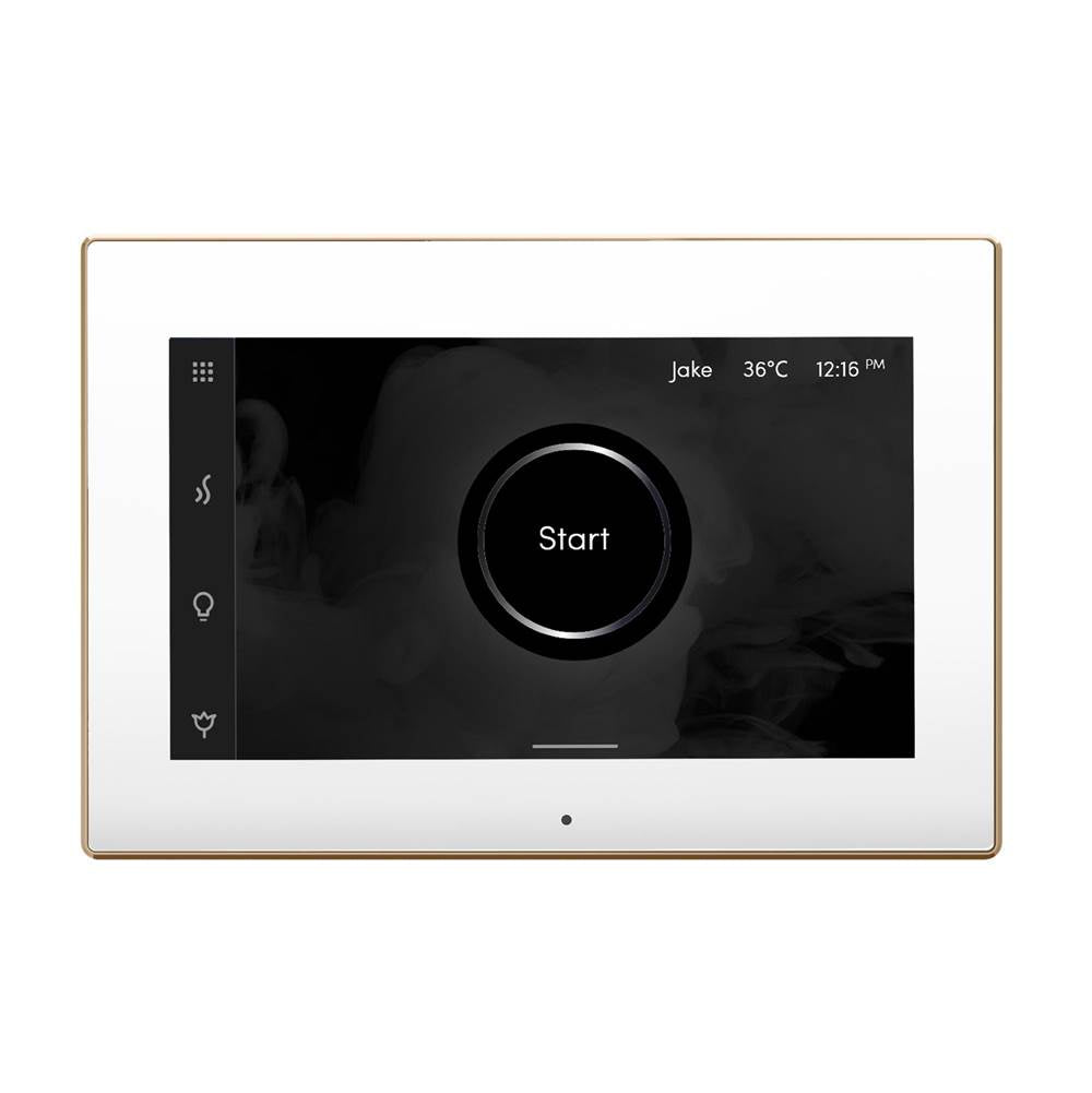 Mr. Steam iSteamX Steam Shower Control and Steamhead