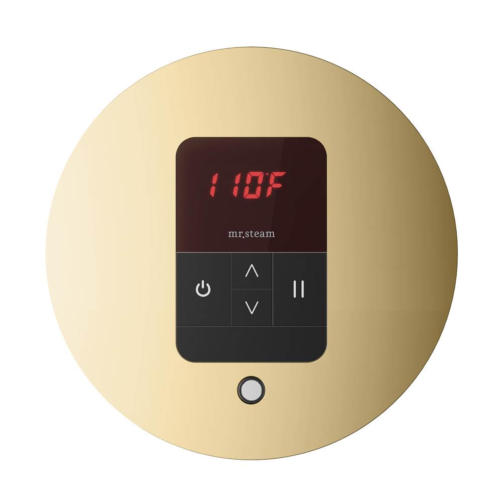 Mr. Steam iTempo Round Steam Shower Control and Steamhead