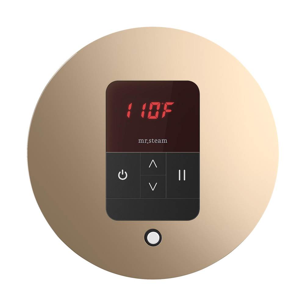Mr. Steam iTempo Round Steam Shower Control and Steamhead