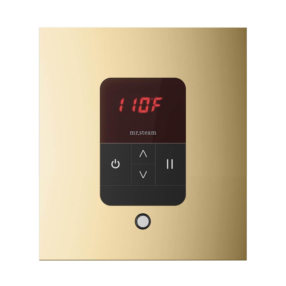 Mr. Steam iTempo Square Steam Shower Control and Steamhead