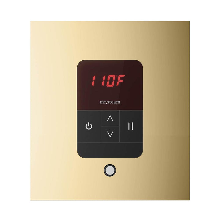 Mr. Steam iTempo Square Steam Shower Control and Steamhead