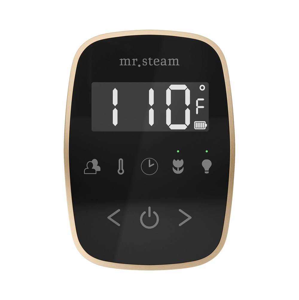 Mr. Steam TempoFlex Steam Shower Control and Steamhead
