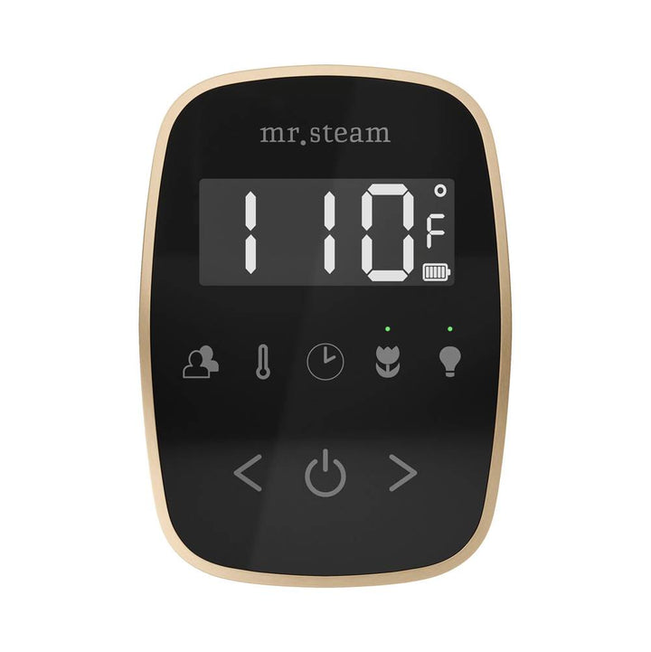 Mr. Steam TempoFlex Steam Shower Control and Steamhead