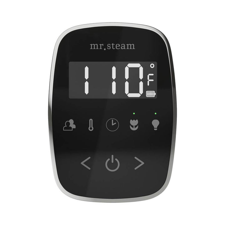 Mr. Steam TempoFlex Steam Shower Control and Steamhead