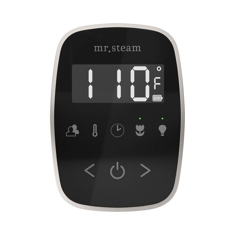 Mr. Steam TempoFlex Steam Shower Control and Steamhead