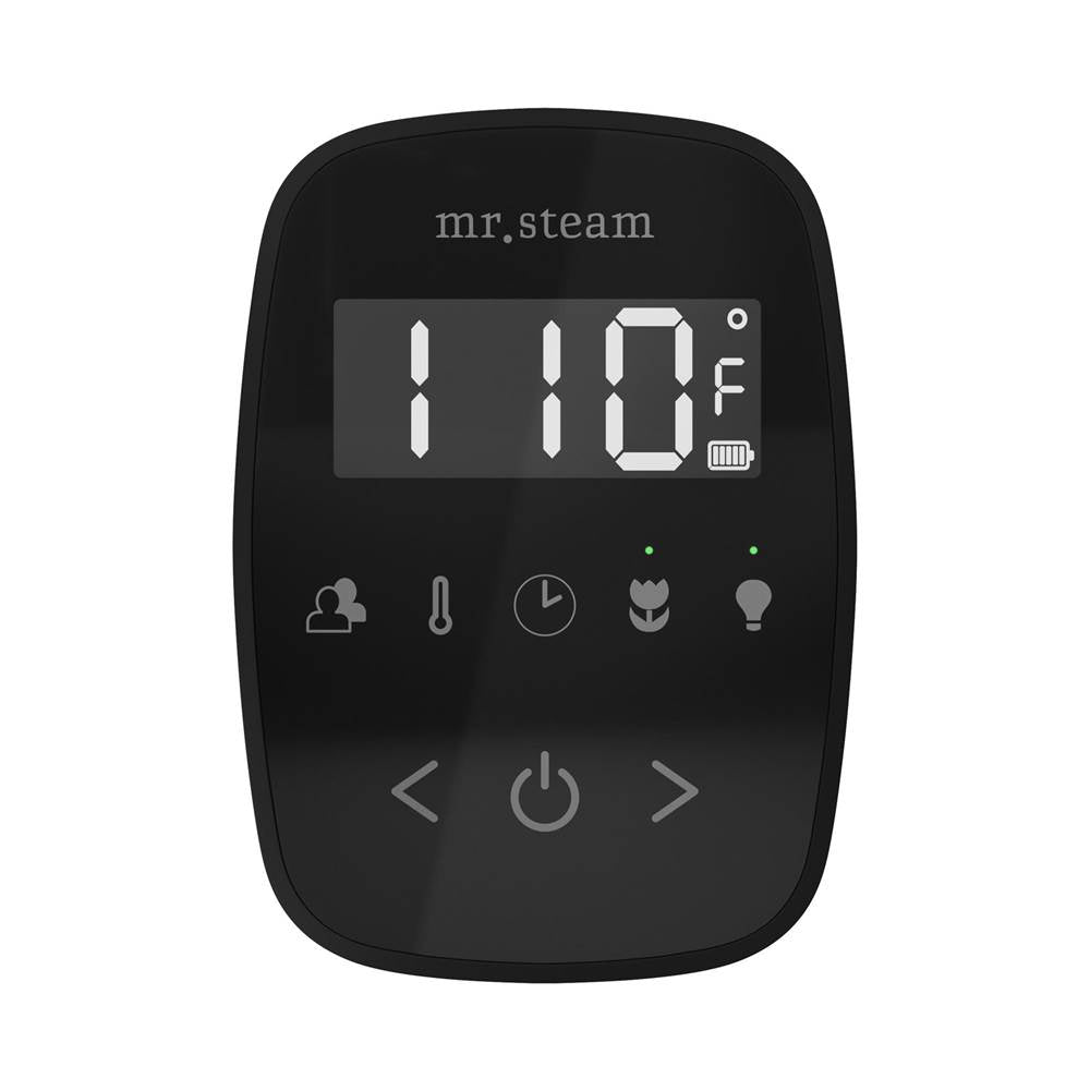 Mr. Steam TempoFlex Steam Shower Control and Steamhead