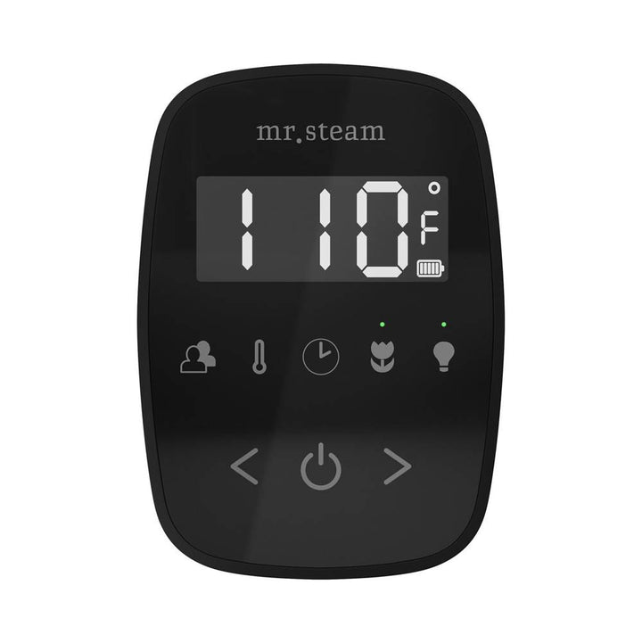 Mr. Steam TempoFlex Steam Shower Control and Steamhead