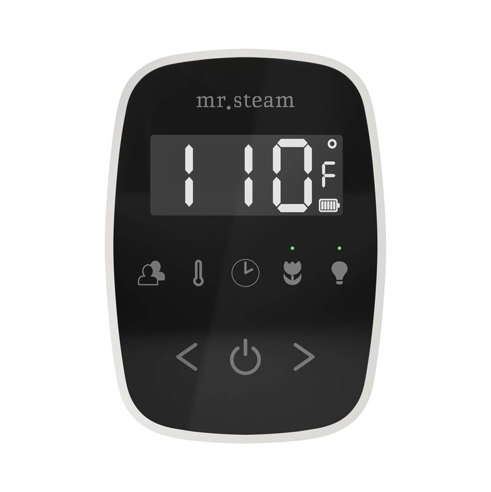 Mr. Steam TempoFlex Steam Shower Control and Steamhead