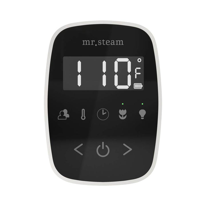 Mr. Steam TempoFlex Steam Shower Control and Steamhead