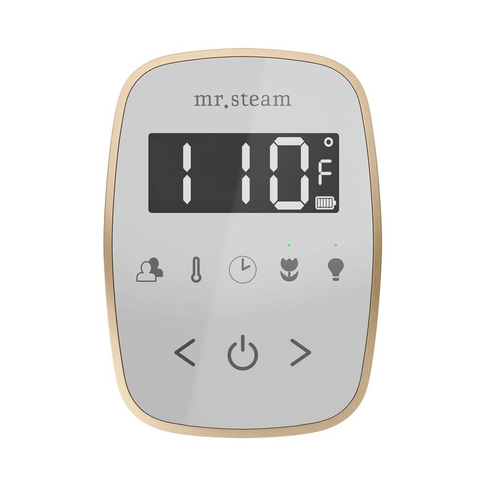 Mr. Steam TempoFlex Steam Shower Control and Steamhead