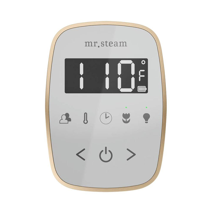 Mr. Steam TempoFlex Steam Shower Control and Steamhead