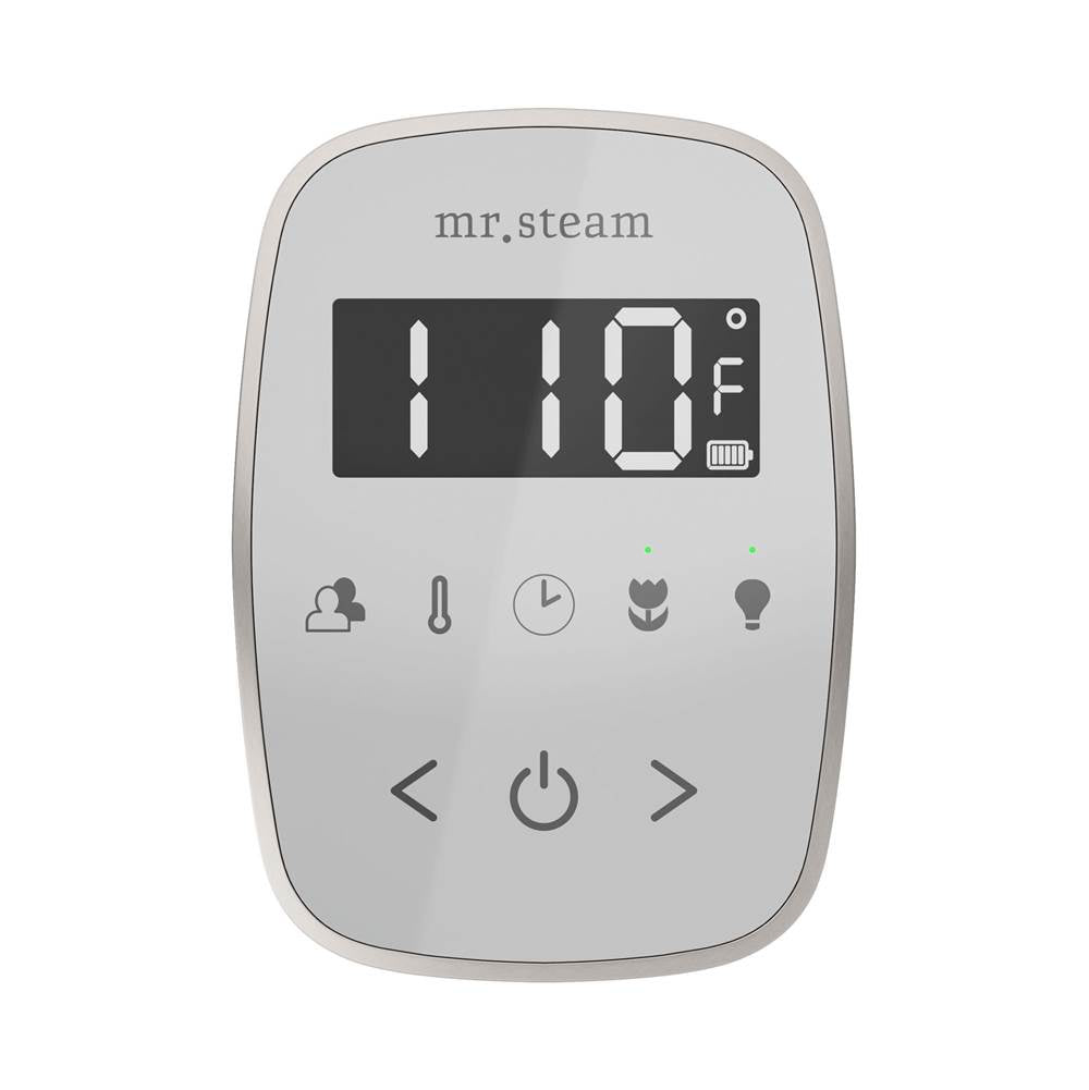 Mr. Steam TempoFlex Steam Shower Control and Steamhead