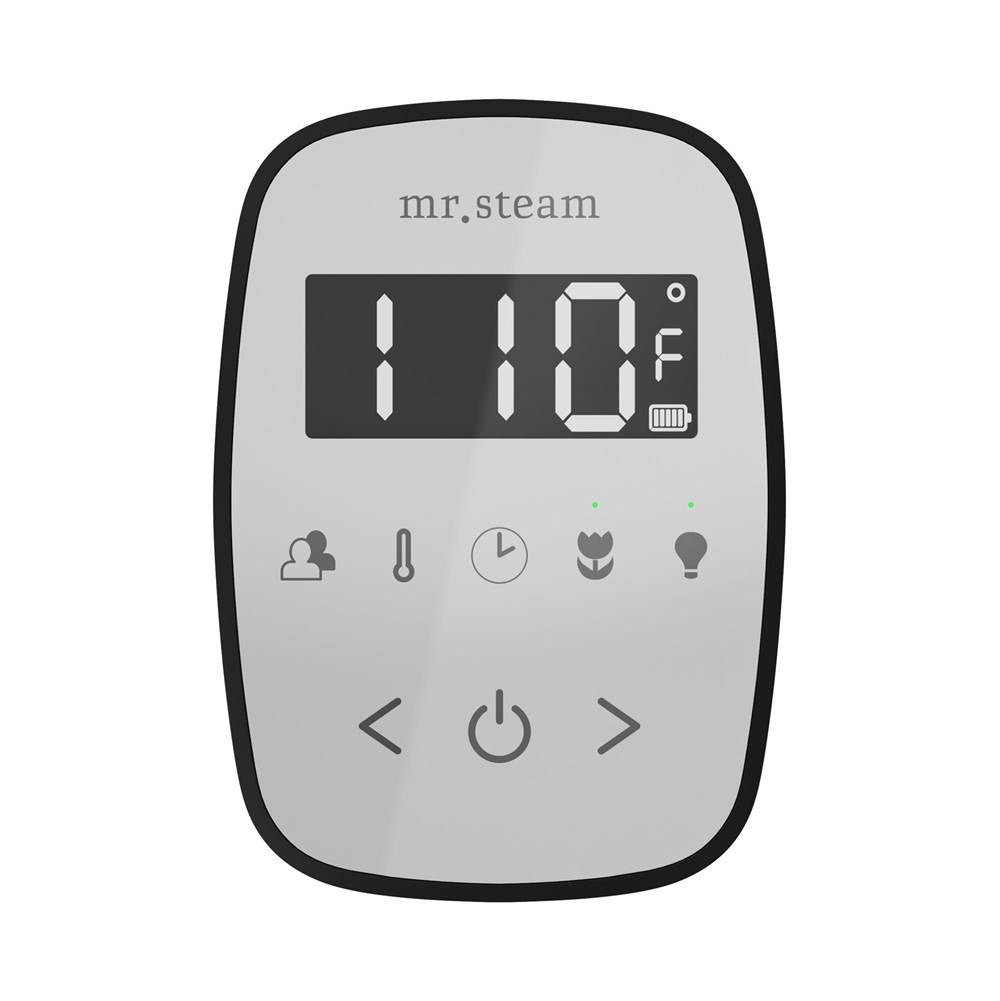 Mr. Steam TempoFlex Steam Shower Control and Steamhead