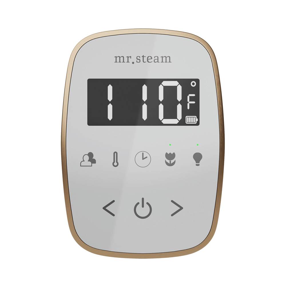 Mr. Steam TempoFlex Steam Shower Control and Steamhead