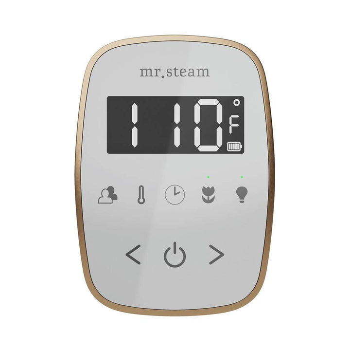Mr. Steam TempoFlex Steam Shower Control and Steamhead