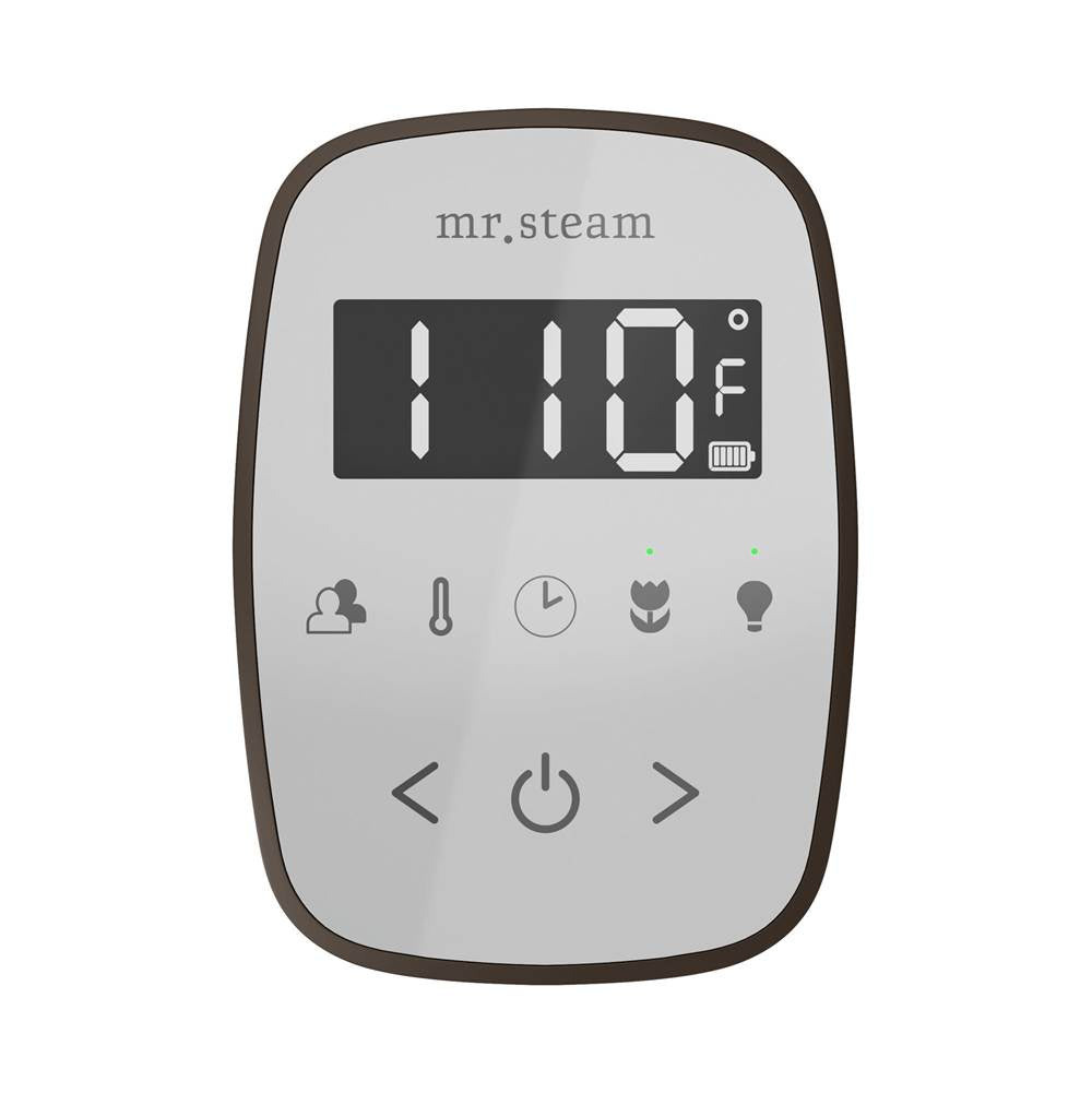Mr. Steam TempoFlex Steam Shower Control and Steamhead
