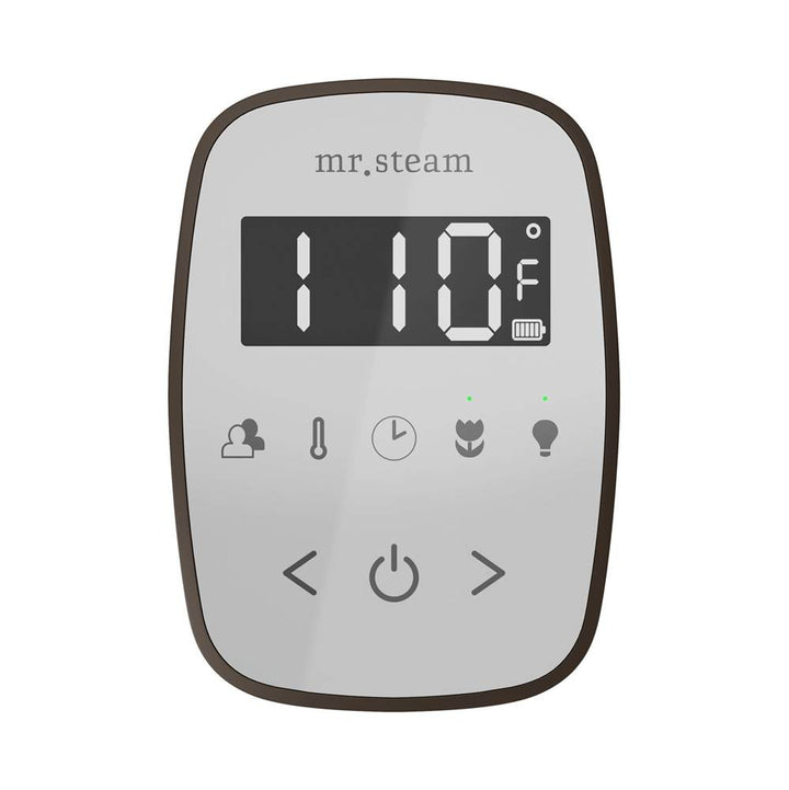 Mr. Steam TempoFlex Steam Shower Control and Steamhead