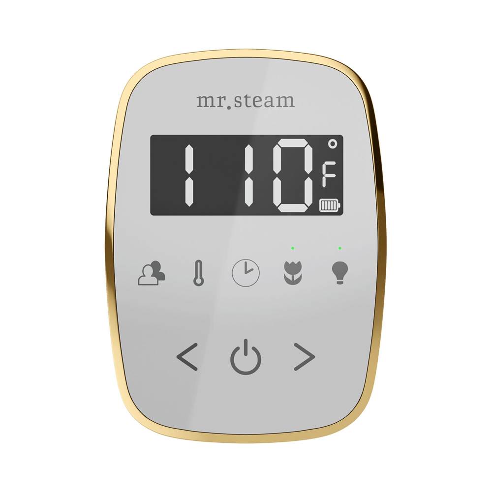 Mr. Steam TempoFlex Steam Shower Control and Steamhead