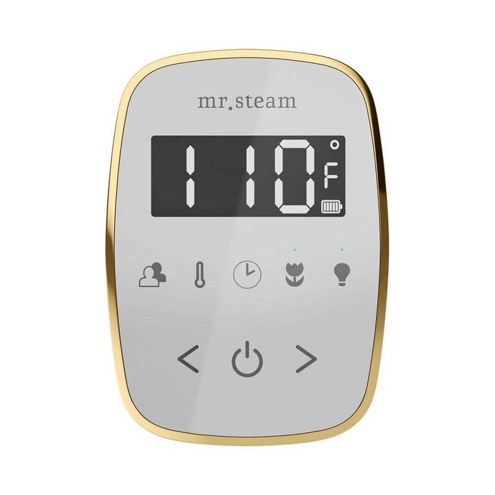 Mr. Steam TempoFlex Steam Shower Control and Steamhead