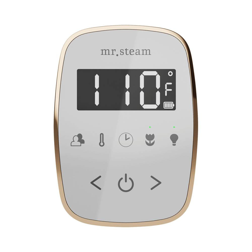 Mr. Steam TempoFlex Steam Shower Control and Steamhead