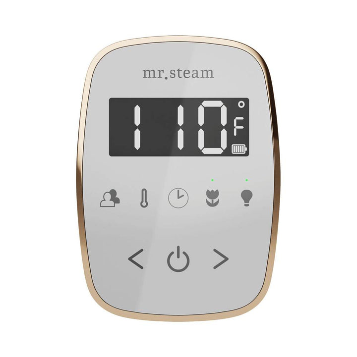 Mr. Steam TempoFlex Steam Shower Control and Steamhead