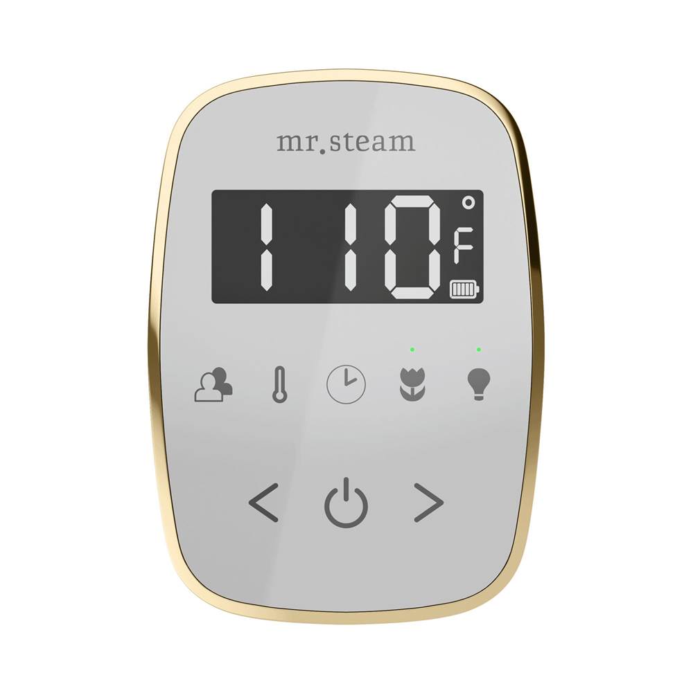 Mr. Steam TempoFlex Steam Shower Control and Steamhead