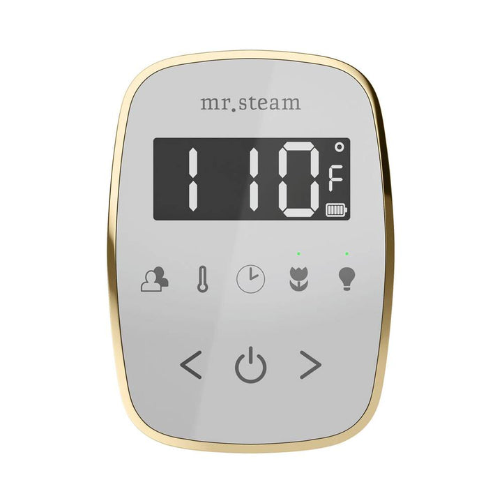 Mr. Steam TempoFlex Steam Shower Control and Steamhead