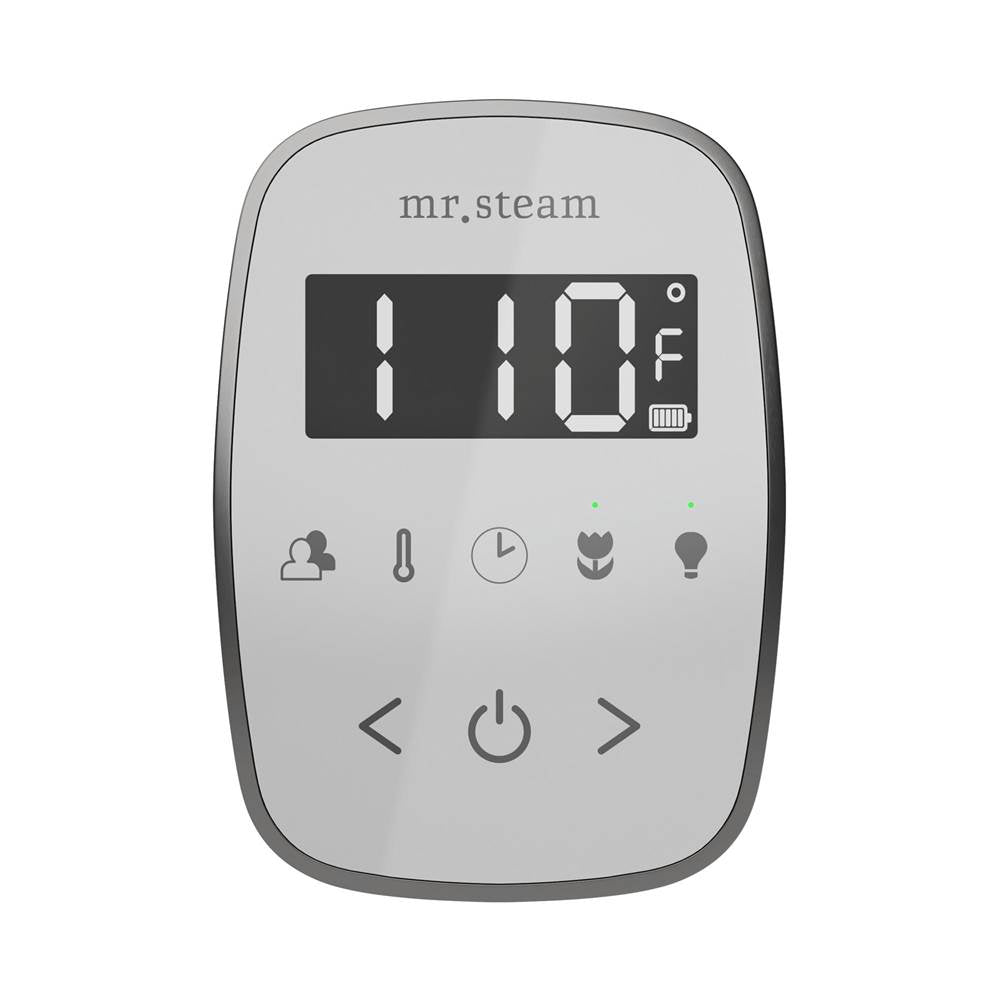 Mr. Steam TempoFlex Steam Shower Control and Steamhead