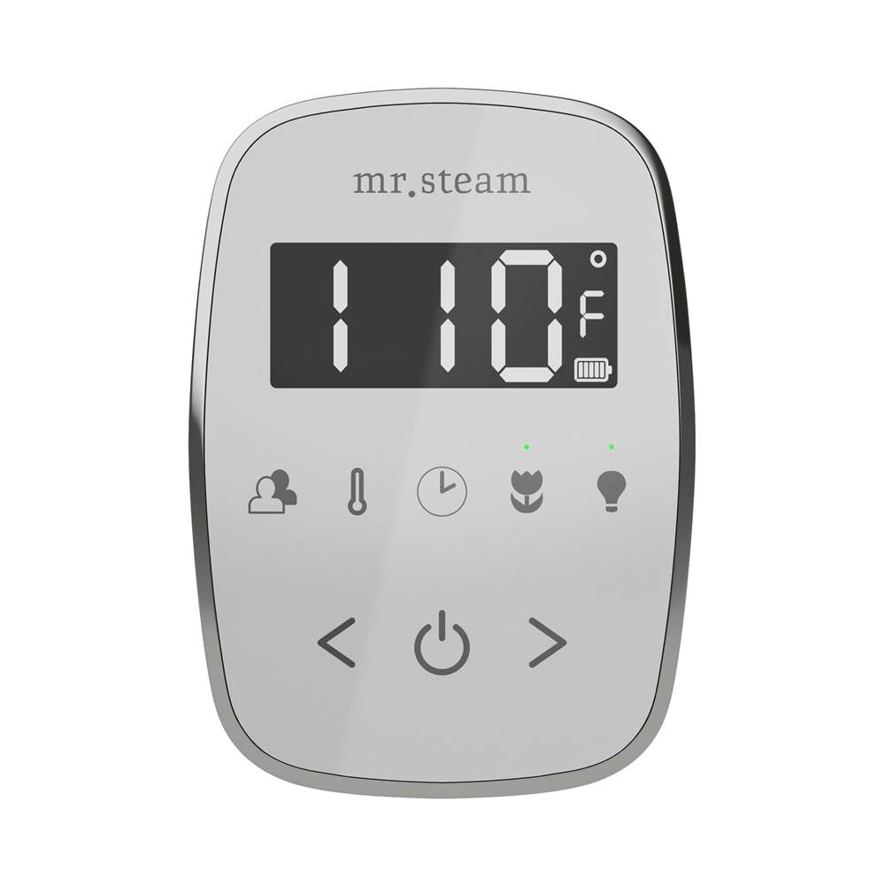 Mr. Steam TempoFlex Steam Shower Control and Steamhead