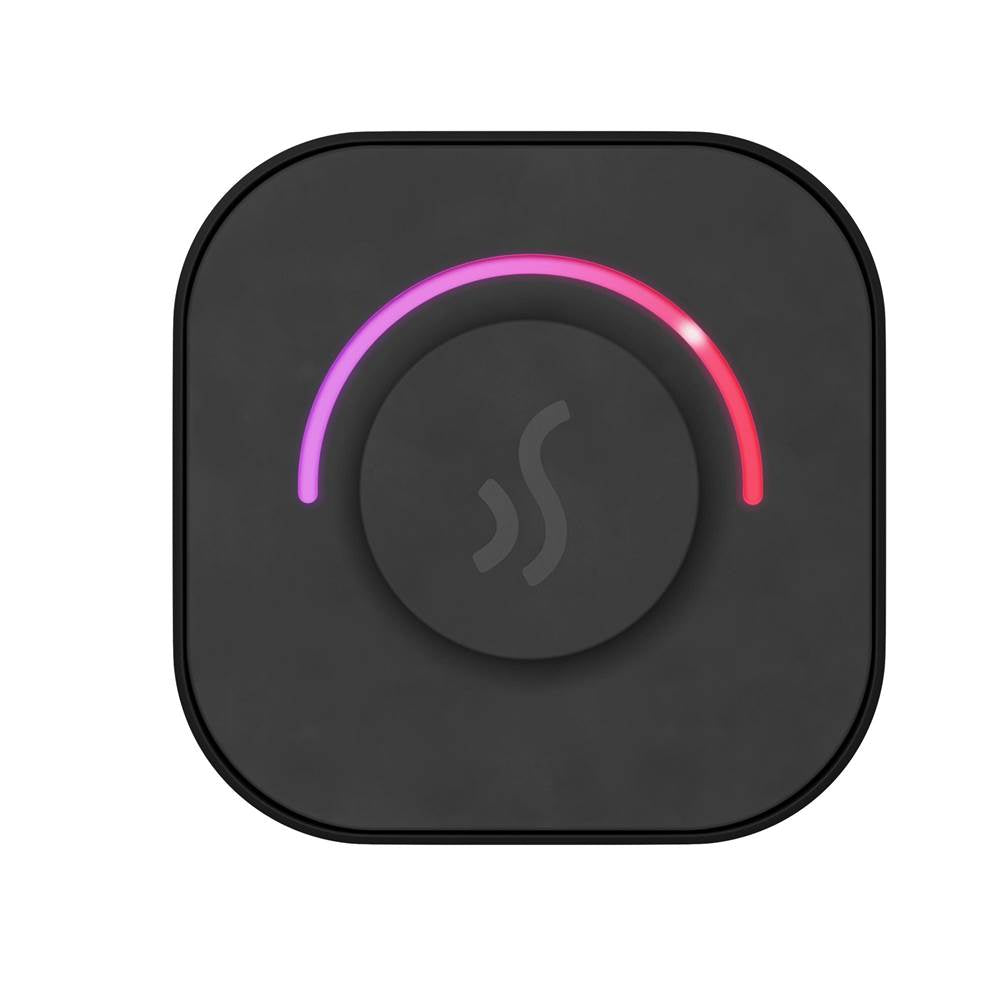 Mr. Steam TempoTouch Steam Shower Control and Steamhead