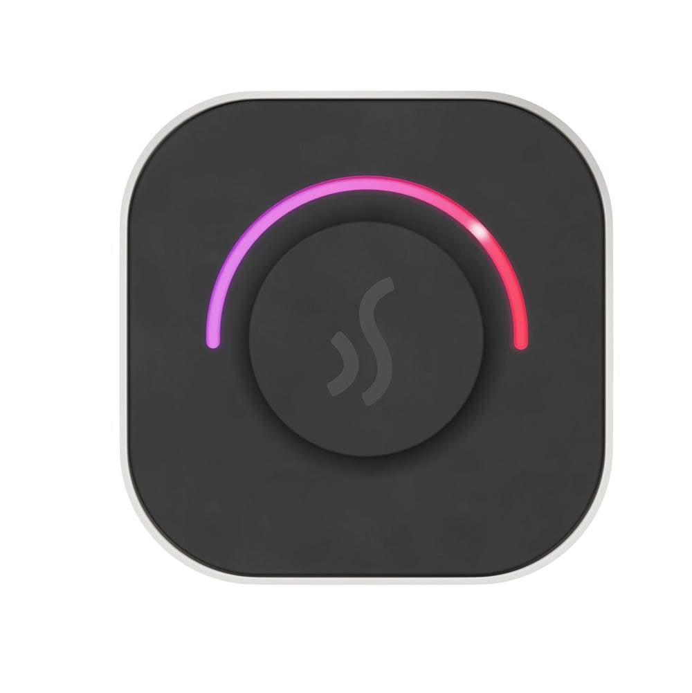 Mr. Steam TempoTouch Steam Shower Control and Steamhead