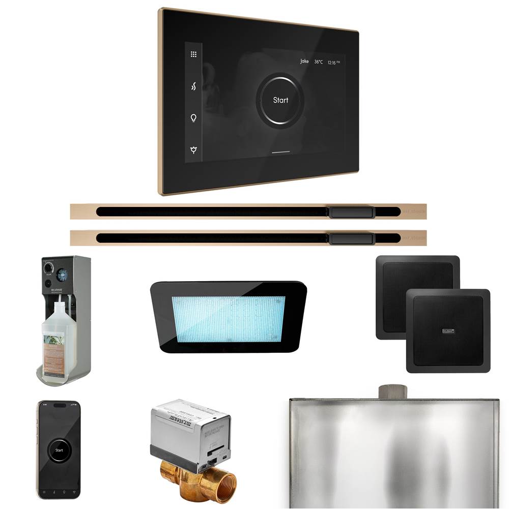 Mr. Steam XDream Max Steam Shower Control Package