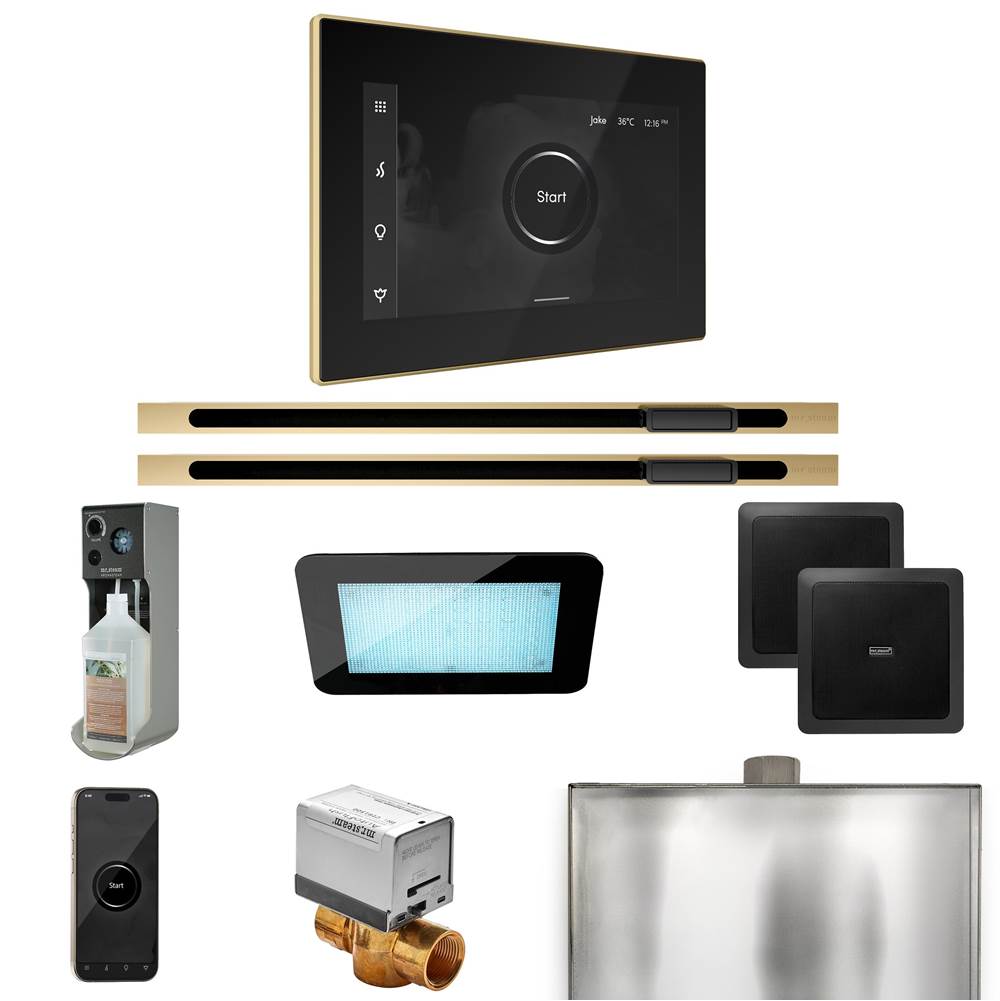 Mr. Steam XDream Max Steam Shower Control Package