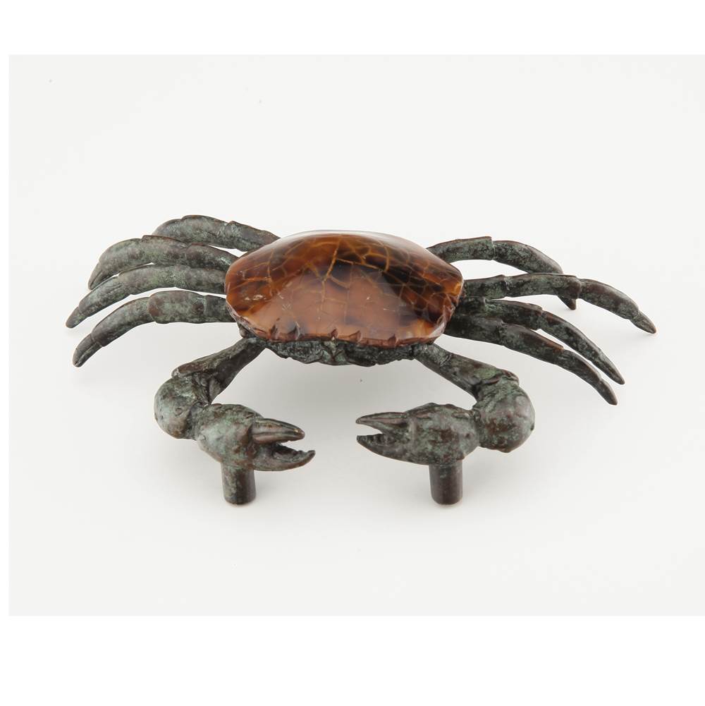 Schaub And Company Nature Tiger Penshell Pull