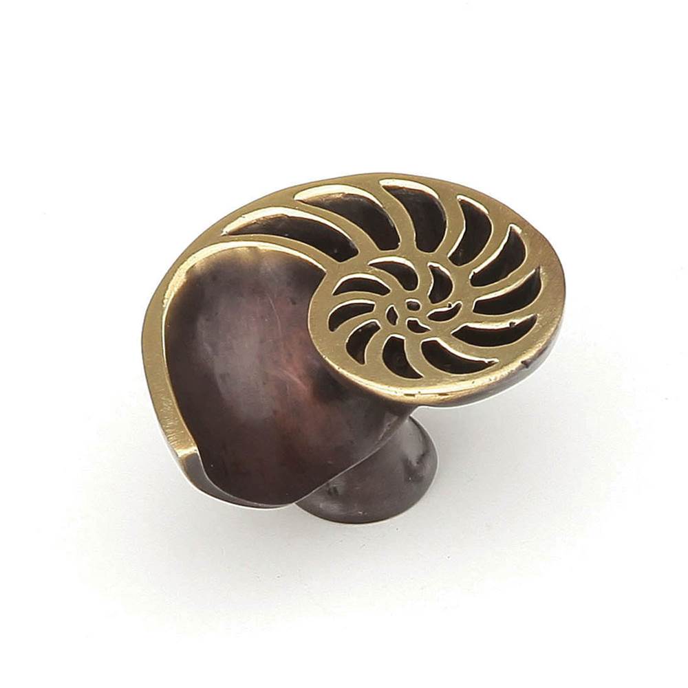 Schaub And Company Nature Nature Sea Shell Knob